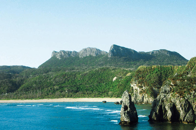 株式会社 南都の写真