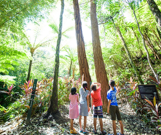 株式会社 かりゆしの写真